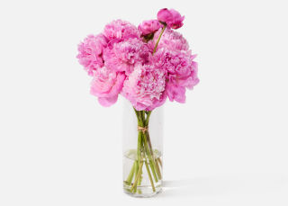 The Peony image number 0